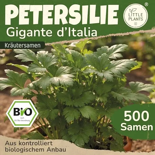 Little Plants BIO Petersilie Gigante ditalia Samen 500 Petersiliensamen Kräutersamen Samenfest für Kräutergarten Kräuter Samen Küchenkräuter für Küche, Balkon und Garten