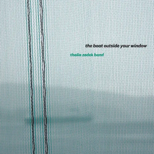 Thalia Zedek Band The Boat Outside Your Window (Vinyl) 12" Album