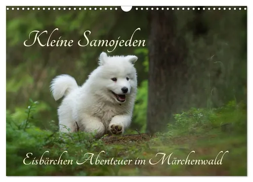 Claudia Pelzer www. Pelzer-Photography. com | Kleine Samojeden - Eisbärchen...