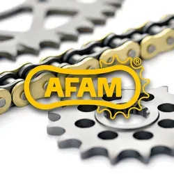 Afam Standard Kettensatz Stahl - Gold - Motorradzubehör für höchste Ansprüche, mit präziser Fertigung für optimale Leistung und lange Lebensdauer. Vertrauen Sie auf über 40 Jahre Erfahrung von AFAM!