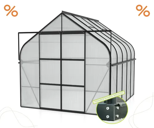 Vitavia Gewächshaus "Dione 8300" mit Zubehör - Garten-Zubehör: Aktionsangebot mit über 100 Euro Zubehör, inklusive Hygrometer und Min-Max-Thermometer für optimale Pflanzenpflege.