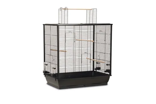 Beeztees Vogelkäfig Fiona offen schwarz - Tierbedarf: Moderner, offener Vogelkäfig in elegantem Schwarz, ideal für eine artgerechte Haltung und einfache Reinigung.