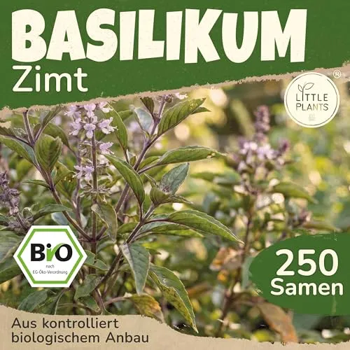 Little Plants BIO Zimtbasilikum Samen 250 Basilikumsamen Kräutersamen Basilikum Samen Kräutersaatgut Samenfest für Kräutergarten und Küche, Balkon und Garten
