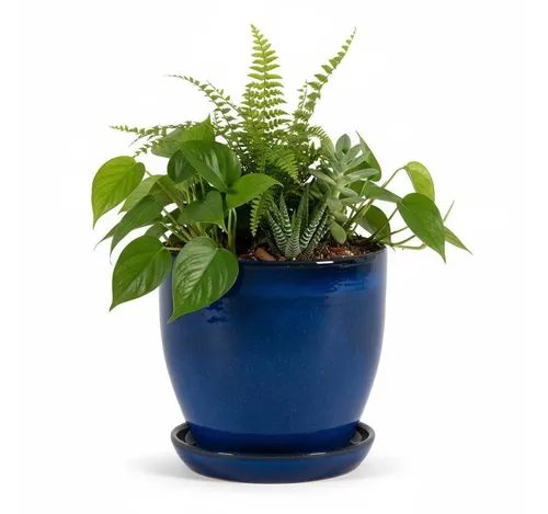 Teramico Pflanzkübel Blumentopf aus Keramik Modell "EggPot" 27cm Royal Blau mit Teller, 100% Frostfest