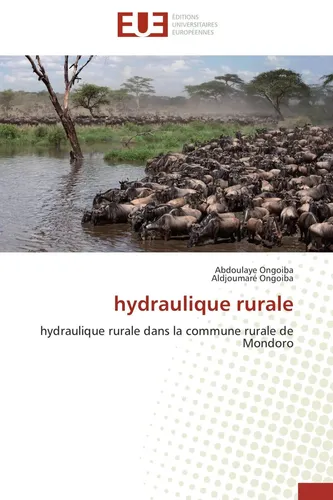 Abdoulaye Ongoiba (u. a.) | hydraulique rurale | Taschenbuch | Französisch