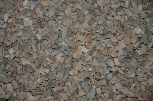 1kg Muschelgrit - Hochwertiges Muschelschalenschrot für Hühner - Mineralfutter für Geflügel, ideal zur Stärkung der Eierschalen und Förderung der Gesundheit. Hergestellt in den Niederlanden.