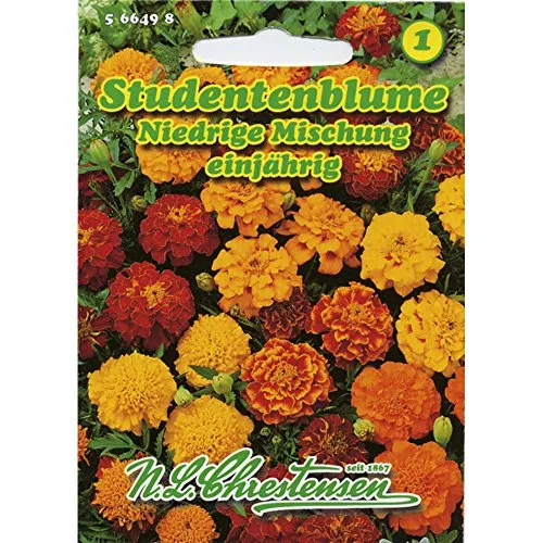 Studentenblume Niedrige Mischung einjährig Tagetes patula nana - Hochwertiges Saatgut für ca. 60 Pflanzen, ideal für Beete und Gruppen. Bringt Farbe in Ihren Garten und ist pflegeleicht. Weitere Anbauhinweise auf der Packung!
