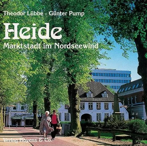 Heide: Marktstadt im Nordseewind (Stadtansichten & Landschaftsbilder)