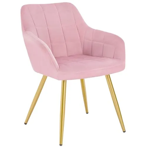 WOLTU Esszimmerstuhl mit Armlehnen - Rosa Samt & Metallbeine - Eleganter Esszimmerstuhl mit ergonomischer Rückenlehne und bequemer Samtpolsterung. Ideal für Wohn- und Essbereiche, stabil und langlebig dank metallischer Konstruktion.