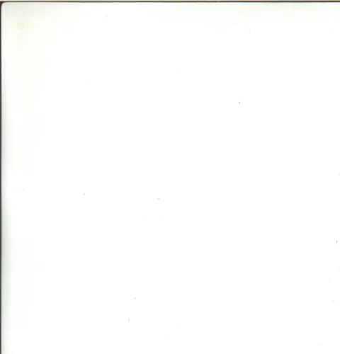 Children And Bloom (Limited Edition Picture CD)
