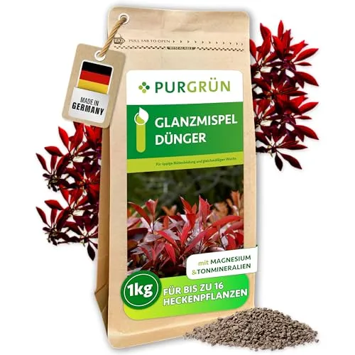 Purgrün Gartendünger Glanzmispel, NPK 5+4+6, 1 kg - Pflanzendünger für kräftige Glanzmispeln mit extra Kalium für gesunde Blätter, ideal für den Einsatz im Freiland und Nutzgarten.