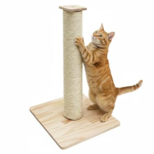 eyepower 62 cm Kratzbaum Luca - Stabiler Katzenkratzbaum mit Sisalstamm - EXTRA STABIL mit Bambusbodenplatte für sicheren Halt. Ideal für Katzen, die kratzen und spielen möchten. Schmaler Kratzbaum, perfekt für kleine Räume und aktive Fellnasen.