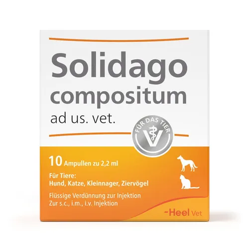 Solidago Compositum Ampullen für Tiere - Tierarzneimittel zur Unterstützung der Heilungsprozesse bei Hunden, Katzen, Kleinnagern und Ziervögeln, ideal für die Therapie chronischer Erkrankungen.