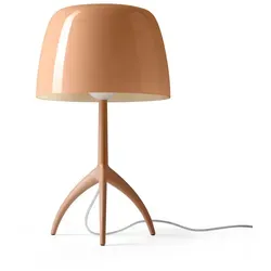 Lumiere Nuances piccola cipria