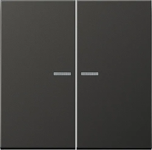 Jung AL10921STRFAN KNX RF Taster 2-fach - Lichtschalter in anthrazit, ideal für die Steuerung von Licht, Jalousien und Raumtemperatur mit modernster KNX RF Technologie.