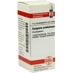 Syzygium Jamb D 6 10 G