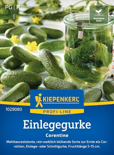 Kiepenkerl Profi-Line Einlegegurkensamen Corentine 1029080 - Bitterfreie, glatte Früchte, Cornichons, perfekt für eingelegte Gurken, Gurkensamen