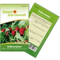 Deine Gartenwelt Erdbeerspinat Strawberry Spinach Samen