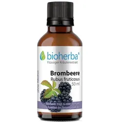 Brombeere Rubus fruticosus Tropfen Tinktur 50 ml