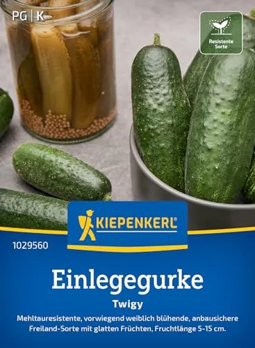 Kiepenkerl Einlegegurkensamen Twigy 1029560 - Gurkensamen, bitterfrei, glatte Früchte für eingelegte Gurken, für Beet und Spalieranbau, Gemüsesamen