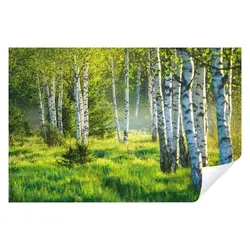 Vlies Fototapete Birkenwald - 3D Effekt für Wohnzimmer und Schlafzimmer - Premium Vlies Fototapete mit 3D Effekt, kinderleichte Montage ohne Einweichzeit und umweltfreundlich. Verleihen Sie Ihrem Raum mit brillanten Farben und einzigartigem Design einen neuen Charakter.