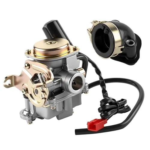 Wilktop Vergaser, 50cc Vergaser 18mm Ersatzvergaser mit Ansaugstutzen Passend für Rex RS 400 / RS 450 / RS 460 /GY6 50cc