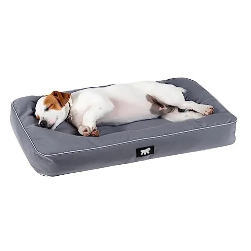 FERPLAST - Tappetino per Cani e Gatti - Cuccia Ortopedica per Cani Media - Materasso per Cani - Cuccia per Gatti - Impermeabile e Antigraffio - Polo, 80 x 50 x h 8 CM, BLU