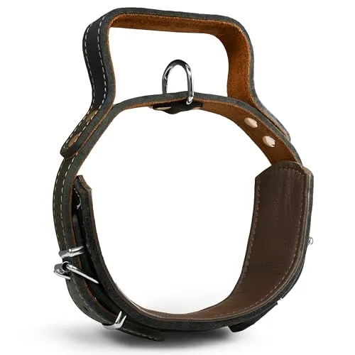 Hundehalsband mit Griff aus hochwertigem Leder - 65cm x 60mm - Robustes Erziehungshalsband für große Hunde, mit gepolstertem Griff für einfache Kontrolle und bis zu 12cm verstellbar - ideal für Training und Spaziergänge.