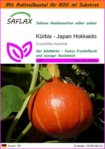 SAFLAX Gemüsesamen SAFLAX - Garden in the bag - Kürbis - Japan Hokkaido