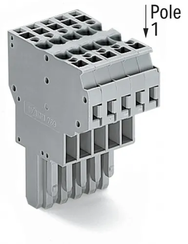 WAGO 2-Leiter-Federleiste 769-125 - 20 Stück - Hochwertige 2-Leiter-Federleiste von WAGO, ideal für sichere elektrische Verbindungen. Mit Federzuganschluss und vielseitigen Querschnittsoptionen für optimale Flexibilität.
