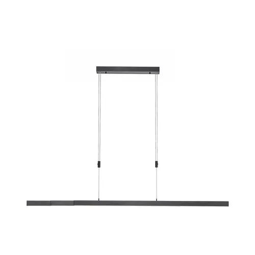 Paul Neuhaus LED-Pendelleuchte 3flg Bacalia - Moderne 3-flammige Pendelleuchte mit dimmbaren 14W LED, ideal für stimmungsvolle Beleuchtung in Ihrem Wohnraum. Elegant in anthrazit, bietet sie eine anpassbare Lichtstimmung.