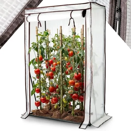 Arebos Tomatengewächshaus 100x50x150 cm - Gewächshaus für ganzjährigen Pflanzenschutz, inklusive rollbarer Reißverschluss-Tür und stabilen Stahlrahmen für hohe Langlebigkeit.