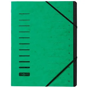 PAGNA Ordnungsmappe Ordnungsmappen 12 Fächer grün, 1 St.