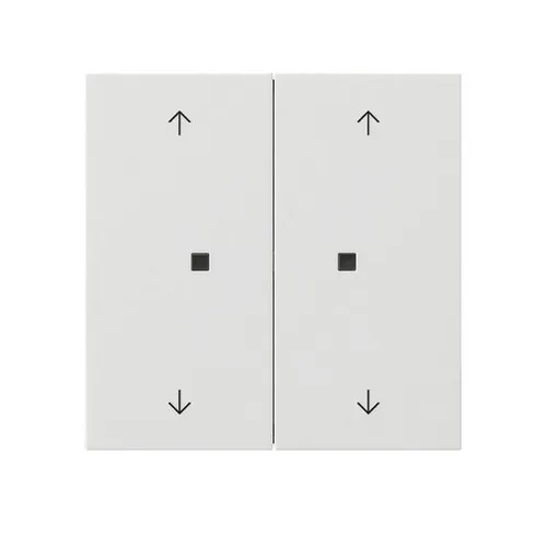 Gira Wippe 2-fach 5386112 Taster Schalter Installationsschalterprogramme Wippe