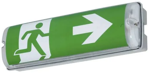 B-SAFETY BR564230 LED Fluchtweg-Notbeleuchtung - Schilder für sichere Rettungswege, IP 65, mit AUTOTEST-Funktion und mehrfarbiger LED. Inklusive selbstklebender Hinweisschilder nach DIN EN ISO 7010.