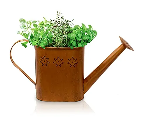 Blümelhuber Edelrost Gartendeko Gießkanne Vintage - Rost Deko Gießkanne Metall zum Bepflanzen - Giesskanne Metall Deko für Garten - Gießkanne aus Metall als Balkon Dekoration, Terrasse oder Vorgarten