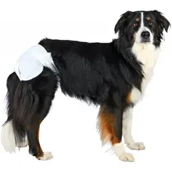 TRIXIE Windeln für Hündinnen M - 12 Stück, elastischer Gummizug für optimalen Sitz und Komfort bei Inkontinenz oder Läufigkeit, Taillenumfang 32-48 cm