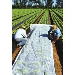 Gartenvlies Schutzvlies 1,6 x 100m - Pflanzenzubehör für optimalen Schutz: Schützt Gemüsebeete vor Kälte, Schädlingen und Überhitzung, während es Licht und Luft durchlässt. Frost- und hagelbeständig, UV-stabilisiert.