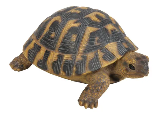 Rofu Dekofigur Schildkröte aus Kunststein - Charmante Gartenfigur aus frostfestem Polyresin, ideal für die Verschönerung Ihres Gartens oder Balkons. Ein Blickfang für Tierliebhaber und Deko-Fans! Perfekt für jede Jahreszeit!  