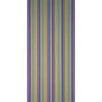PVC-Streifenvorhang Brillant - Schiebevorhang aus 100 % PVC, robust und ideal für gewerbliche sowie private Anwendungen, Maße: 90 × 200 cm.