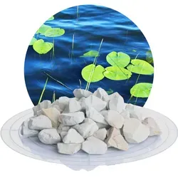 Zeolith-Aqua 16,0-32,0 mm - 10 kg Sack - Seife zur natürlichen Wasseraufbereitung für Teich, Pool & Aquarium. Reduziert Chemiebedarf, reguliert pH-Wert und mindert Algenbildung für klares Wasser.