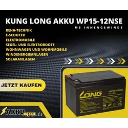 Akku-Satz 48V 15Ah für Forca Raceking II Gold-Edition - E-Scooter Akku-Satz 48V 15Ah, wartungsfrei und auslaufsicher für maximale Reichweite und Leistung. Ideal für E-Scooter mit hoher Zyklenfestigkeit und robuster Bauweise.