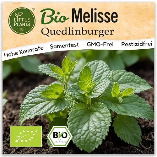 Little Plants BIO Melisse Samen 150 Quedlinburger Melissesamen Kräutersamen Samenfest für Kräutergarten Kräuter Samen für Balkon, Hochbeet und Garten