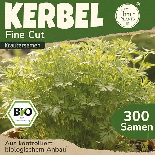 Little Plants BIO Kerbel Fine Cut Samen 300 Kerbelsamen Kräutersamen Samenfest für Kräutergarten Kräuter Samen Küchenkräuter für Küche, Balkon und Garten
