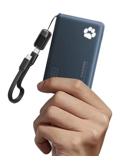 INIU Power Bank, 45W 10000mAh Powerbank Leichteste und Klein Aber Stark (USB C In & Out), PD3.0 Externe Handyakkus with Flashlight, Kompatibel mit iPhone 17 16 15 Pro Max Mini Samsung S24 S23, Blau