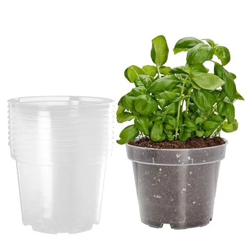 Garronda Blumentopf Orchideentopf Transparent runder Übertöpfe für Zimmerpflanzen Pflanzentopf Pflanztöpfe Kunststoff in verschiedenen Größen GD-0024 (10 Stück Transparent, ⌀ 21cm H 16cm)