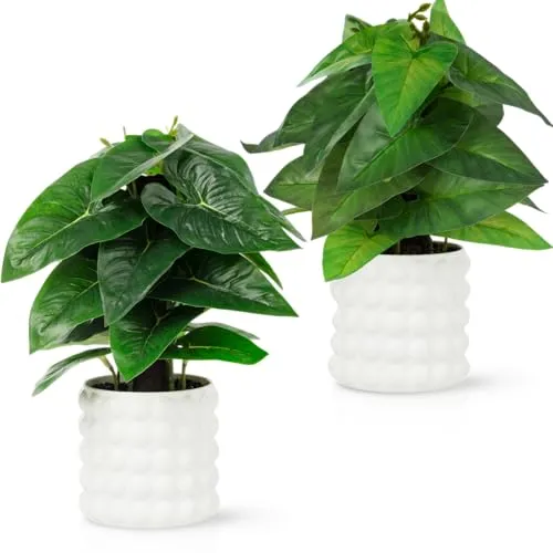 PASCH® 2er Set künstliche Hängepflanzen: künstliche Pflanzen wie echt | Kunstpflanzen hängend | Kunstpflanze hängend im Topf | Hängepflanze künstlich mit Topf (Calathea + Gummibaum, 26cm)