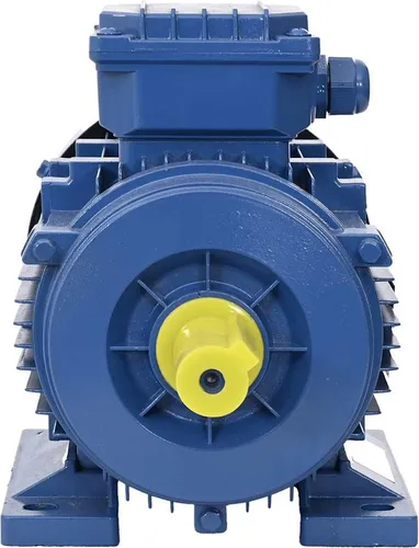 vidaXL Elektromotor 3-Phasen 2,2kW - Asynchronmotor für Kompressoren und Winden, robustes Aluminiumgehäuse mit IP44-Schutz