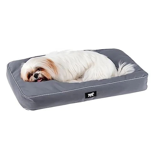 FERPLAST - Tappetino per Cani e Gatti - Cuccia Ortopedica per Cani Piccola - Materassino per Cani - Cuccia per Gatti - Impermeabile e Antigraffio - Polo, 65 x 40 x h 8 CM, GRIGIO