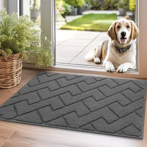 Biscpro Fußmatte Grau 50x80cm Innen und Außen, Waschbar Fussmatte, Wasserdicht Türmatte, Rutschfester Schmutzfänger Teppich für Eingang, Haustür, Patio, Flur, Garten